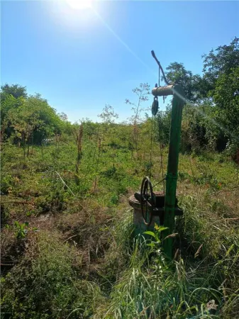 Casă 3 camere Padureni - poza 5