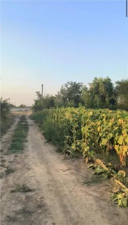 Teren Giurgiu - poza 3