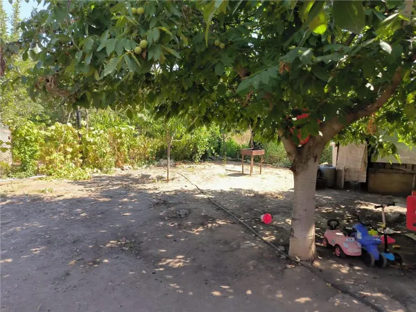 Casă 3 camere Novaci - poza 15