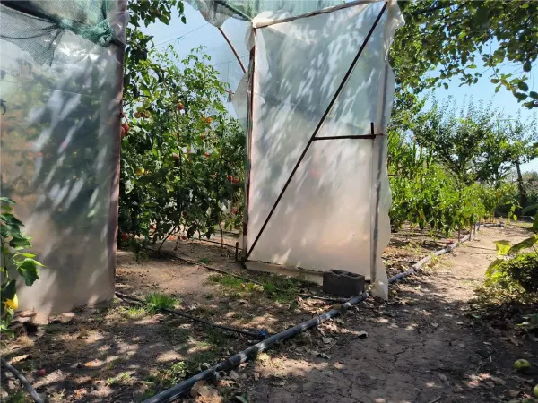 Casă 3 camere Novaci - poza 11