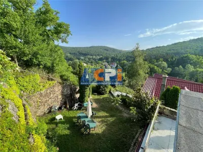 310 mp-Vila, P+M si P+1E, Valea Budului, Bacau - foto 3