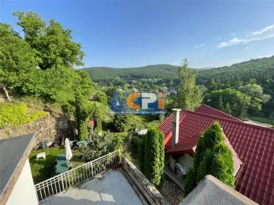 310 mp-Vila, P+M si P+1E, Valea Budului, Bacau - foto 4