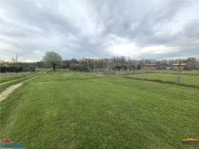 Teren zona agrement padure Vladimirescu - Vladimirescu