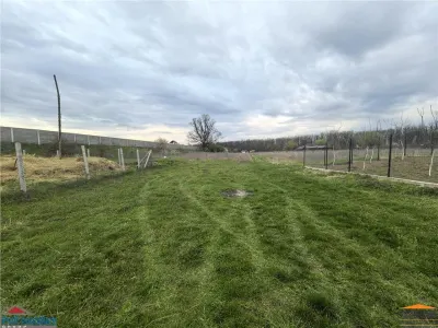 Teren zona agrement padure Vladimirescu - foto 5