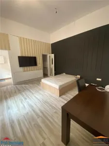 Apartament 1 camera Ultracentral - foto 5