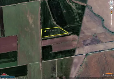 Teren de 28800 mp aproape de drumul Arad - Iratos - foto 2