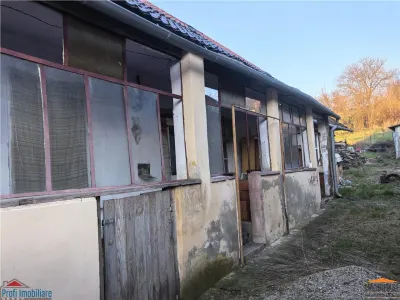 Casa cu 3 camere si pivnita in Lipova - foto 3