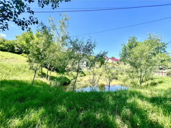 Casă 2 camere Probota - poza 2