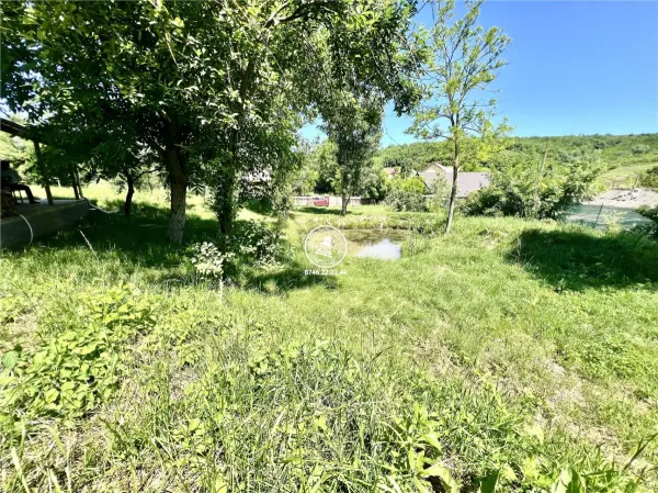 Casă 2 camere Probota - poza 15