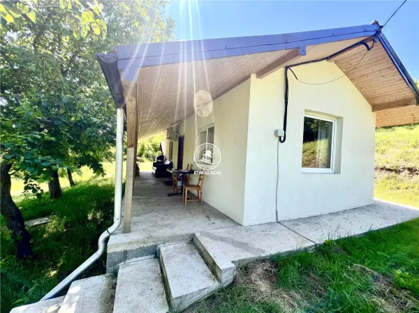 Casă 2 camere Probota - poza 4
