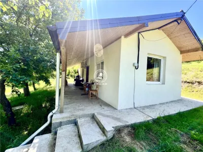Casă individuala 2 camere in Perieni- Probota  cu iaz propriu - foto 4