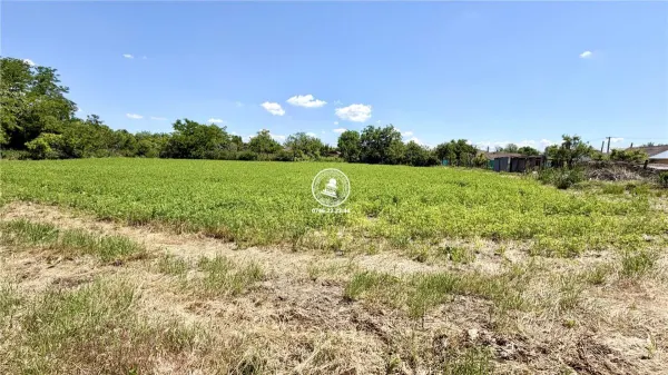 Casă 2 camere Tiganasi - poza 5