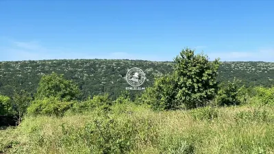 Teren de vanzare 7400mp, Slobozia - Ciurea - Ciurea