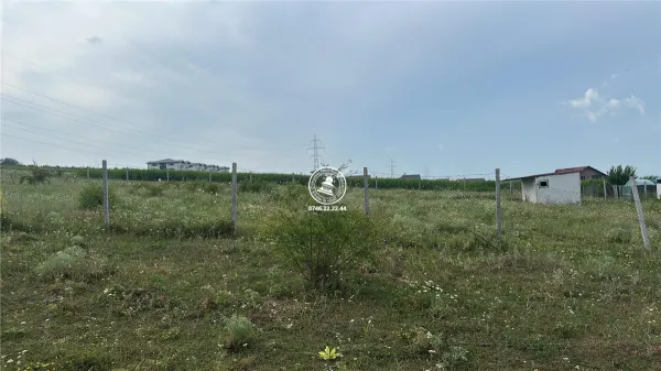 Teren Ciurea - poza 5