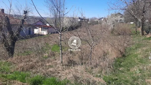 Teren Aroneanu - poza 2