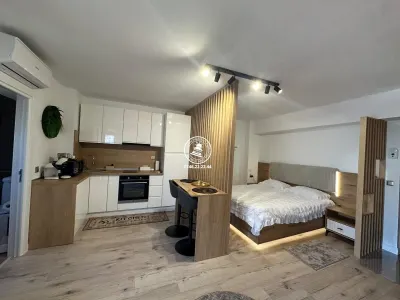 Studio premium de inchiriat - Centru - Palas - foto 3