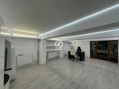 Spatiul comercial / birou de inchiriat, 60 mp - Pacurari / Statia RATP Blocurile Pacurari - foto 2