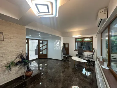 Spatiul comercial / birou de inchiriat, 60 mp - Pacurari / Statia RATP Blocurile Pacurari - foto 5
