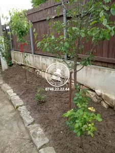 Casa 4 camere , 260 mp teren ,zona Ticau - Iasi - foto 7