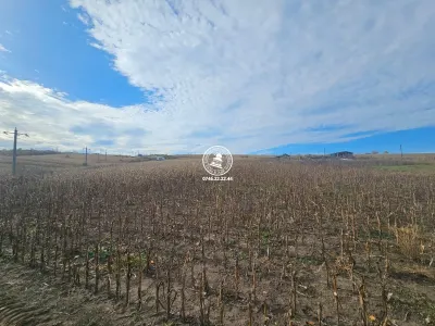 Teren de Vanzare Valea Lupului - foto 2