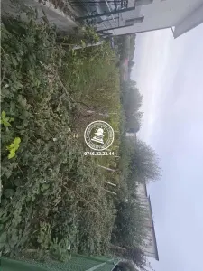Teren pentru constructii case  de vanzare Iasi, Valea Lupului, - foto 2