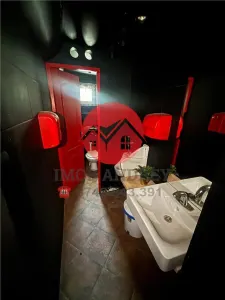 Spatiu Comercial cu Terasa si Vad Exceptional - foto 17