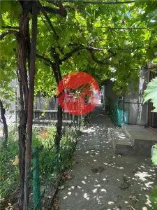 Casa si teren 5.000 mp, aproape de oras, 38.000 € - foto 3