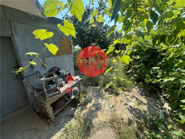 Casă 3 camere Tulcea - poza 8