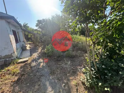 Casa batraneasca de vanzare in Iazurile, teren 1.257 mp - foto 4