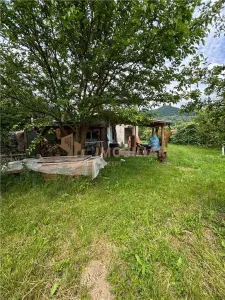 Proprietate cu 2 case in aceeasi curte si teren 24 ari - foto 17