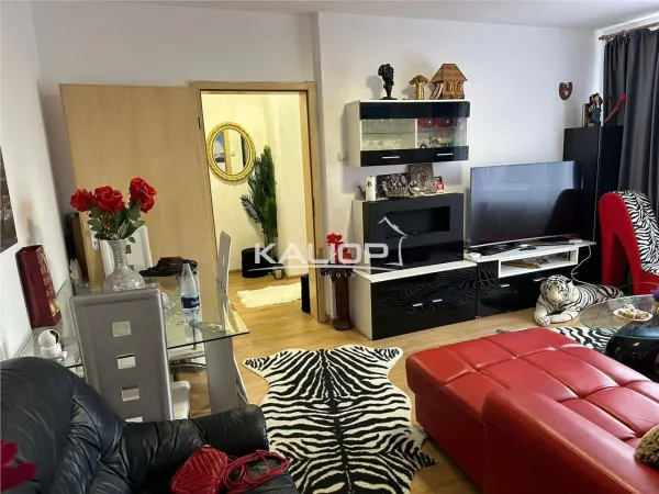 Apartament 2 camere Cluj-Napoca - poza 12