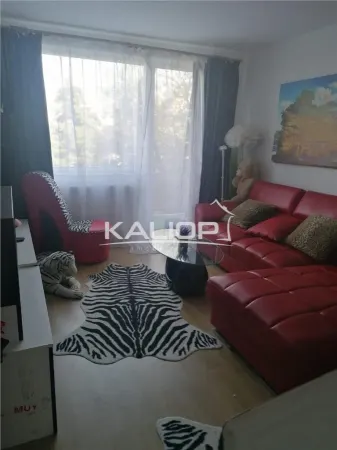 Apartament 2 camere Cluj-Napoca - poza 13
