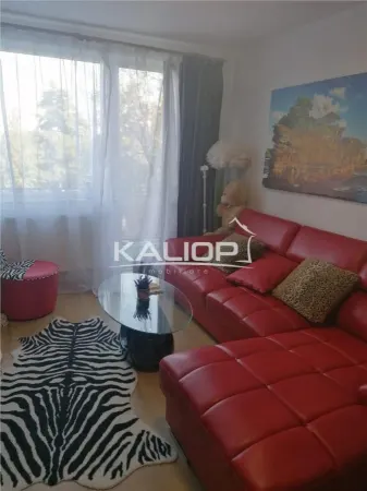 Apartament 2 camere Cluj-Napoca - poza 17