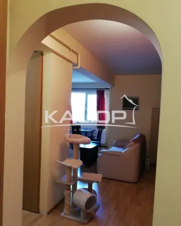 Apartament 3 camere Cluj-Napoca - poza 4