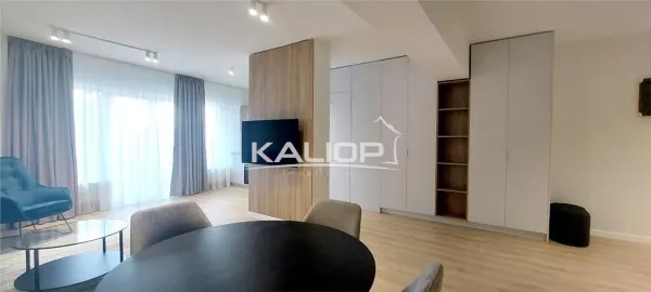 Apartament 2 camere Cluj-Napoca - poza 13