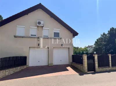 Premium Villa with Private Pool & Garden – Iancu Nicolae - foto 6