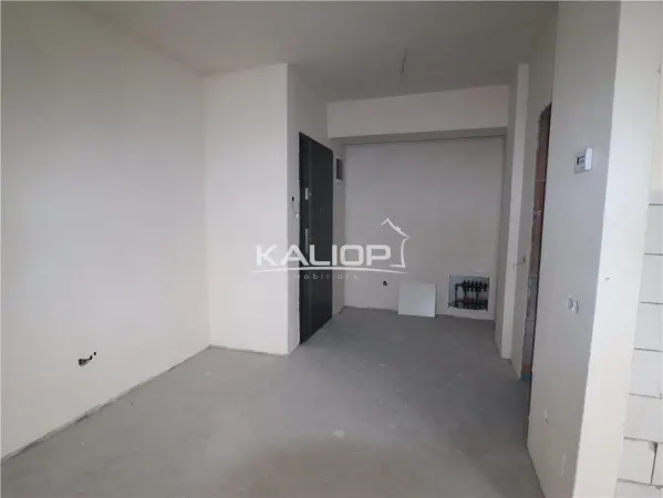 Apartament 1 camera Cluj-Napoca - poza 10
