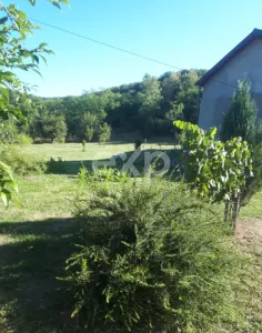 DOAR SCHIMB] casa la semi-munte cu apart. in Bucuresti [Arges, 2.5 ore - foto 2