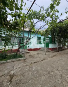 Casă + teren 20.000 mp Urluieni (Bârla) – deschidere mare, livadă și vie - foto 3