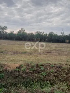 Teren extravilan 1.277 mp de vânzare în Comuna Teiu – zonă liniștită - foto 3