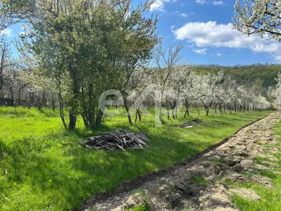 Teren 3940 mp cu livadă si bonus Casa la tara in zonă liniștită - foto 3