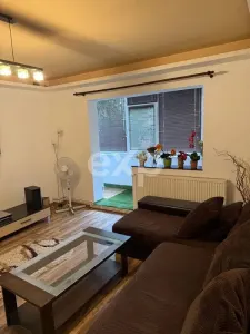 Apartament 2 camere, Parter, Banat - foto 3