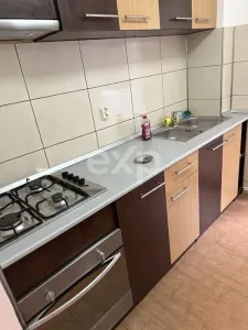 Apartament 2 camere, Parter, Banat - foto 5