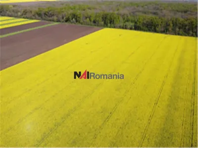 Teren Moara Vlăsiei - poza 2
