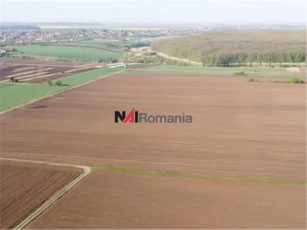 Teren Moara Vlăsiei - poza 3