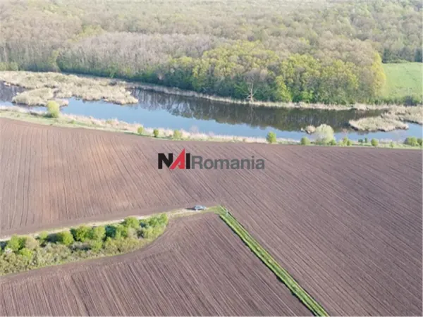 Teren Moara Vlăsiei - poza 9
