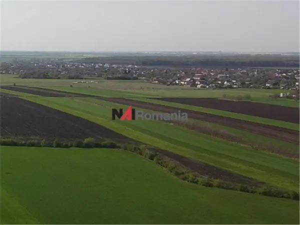 Teren Moara Vlăsiei - poza 1
