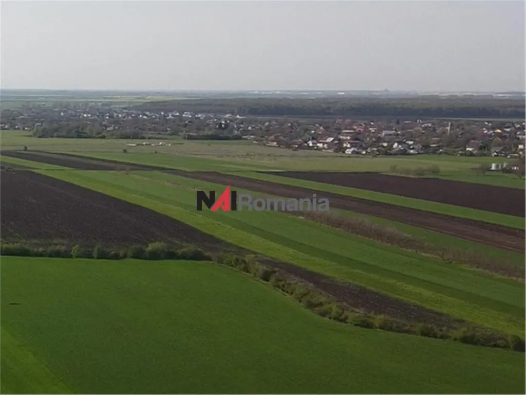 Teren Moara Vlăsiei - poza 1
