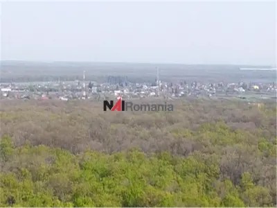 Teren Moara Vlăsiei - poza 2