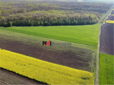 Teren Moara Vlăsiei - poza 5